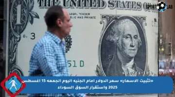 «تثبيت الأسعار» سعر الدولار أمام الجنيه اليوم الجمعة 15 أغسطس 2025 واستقرار السوق السوداء